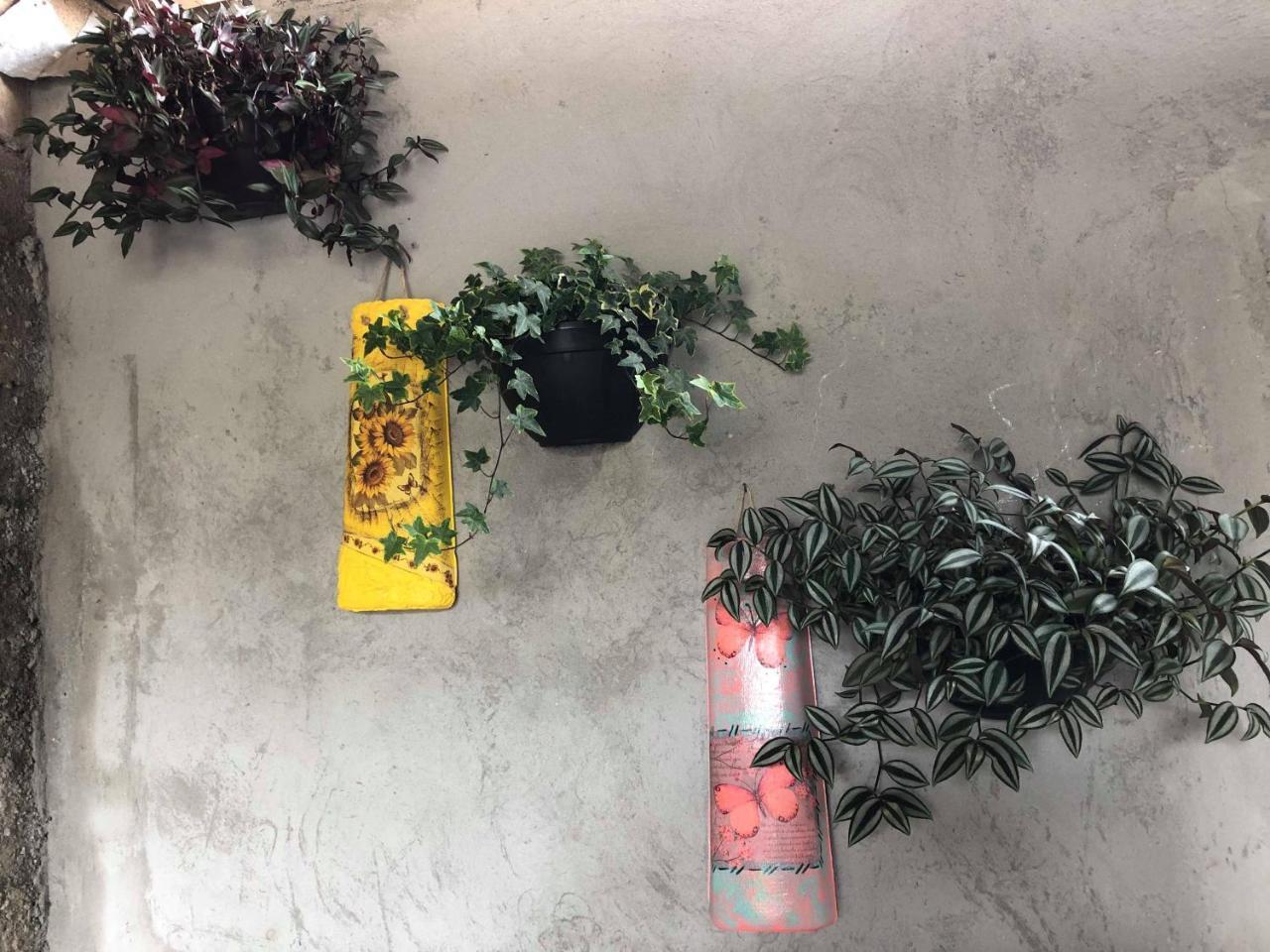 Campos do Jordão Casa Anexa Com Lareira 빌라 외부 사진